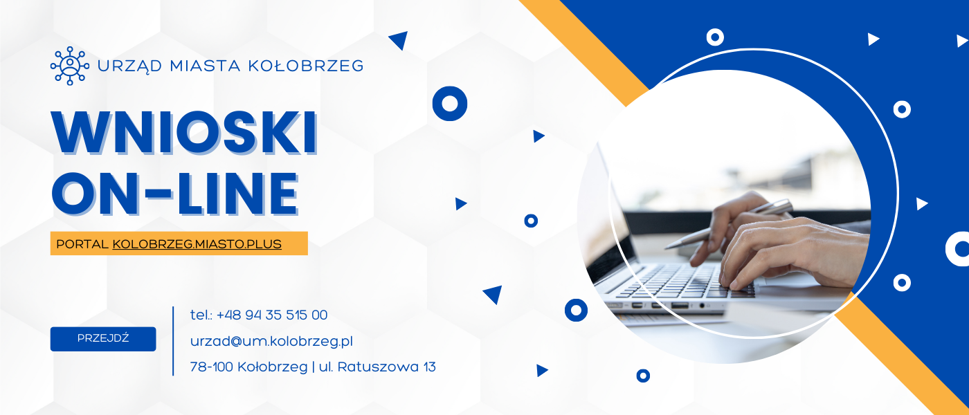 Centrum Usług On-line